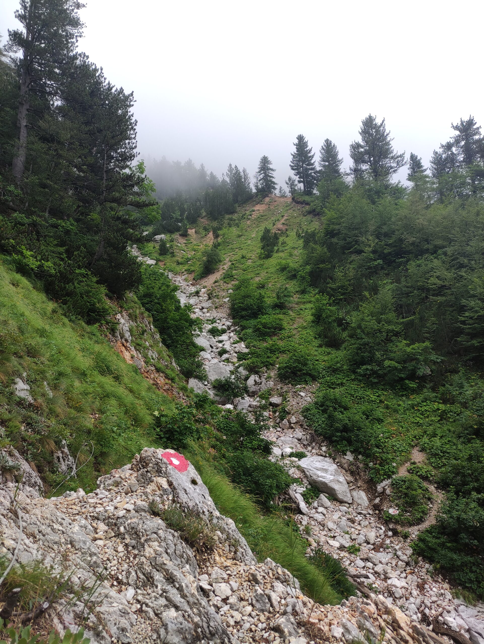 You are currently viewing Bośniackie Himalaje – trekking w masywie Prenj